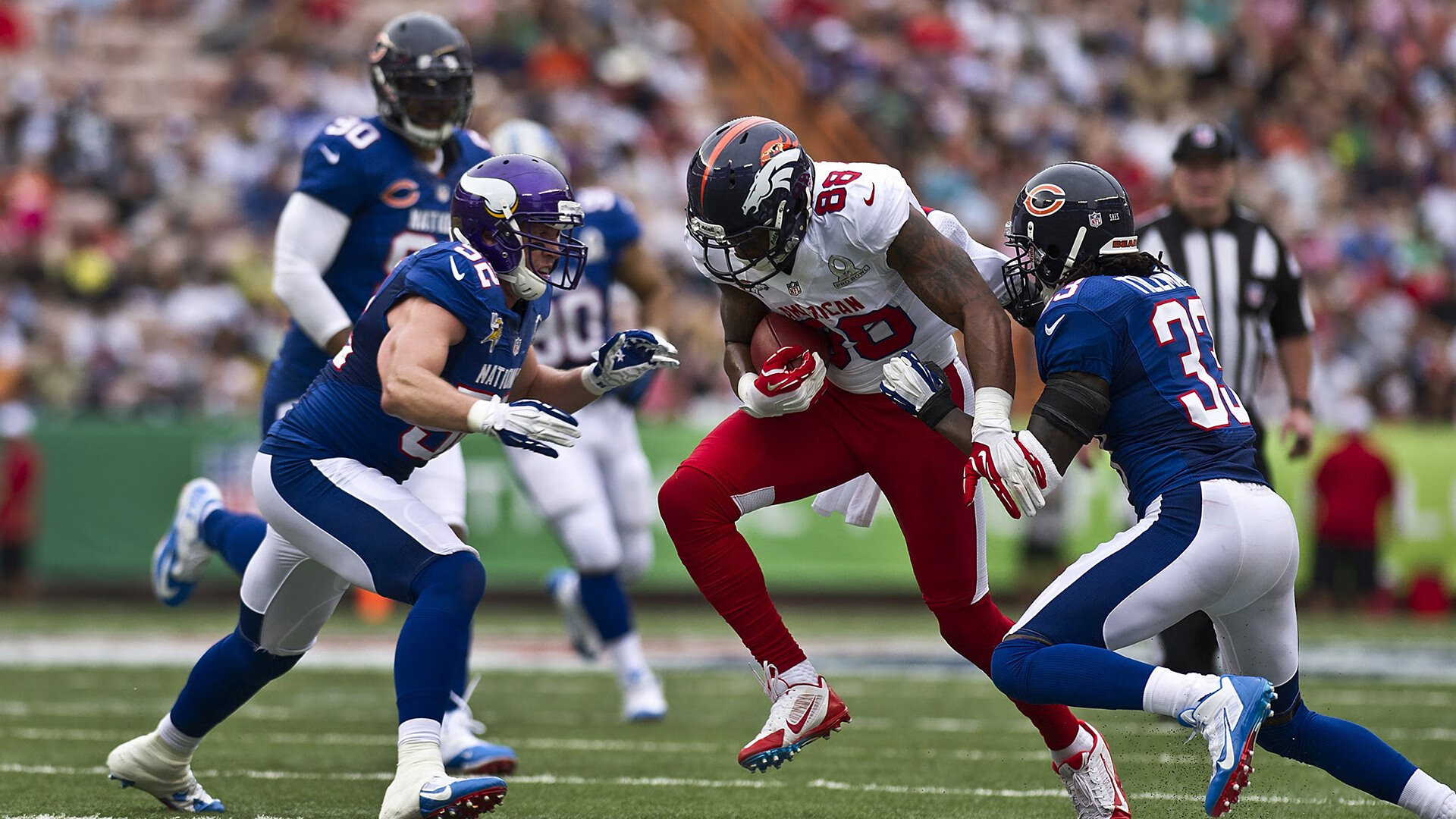 克罗地亚马术协会与学校合作，开展马术教育课程，推广马术文化。