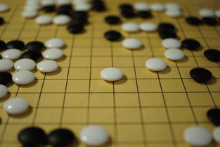 九游官方下载-世界围棋赛青年选手战术成熟引热议，2020世界围棋